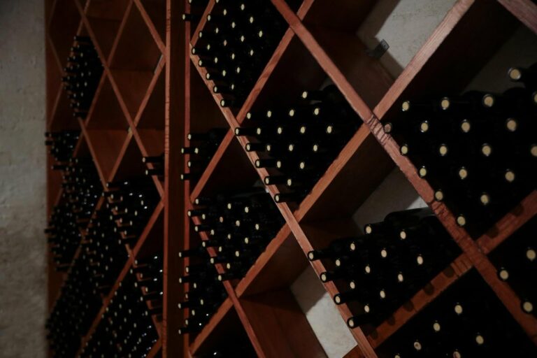 Nombreuses bouteilles de vin sur les étagères de la cave